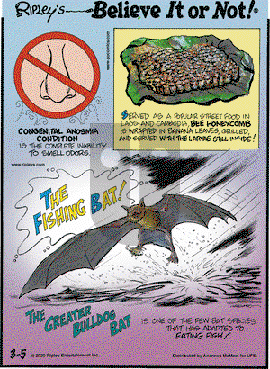 Ripley's Believe It or Not on Thursday March 5, 2020 Comic Strip