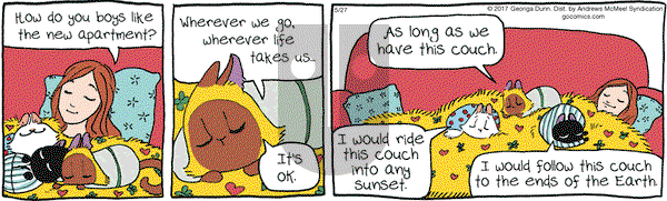 Breaking Cat News on Saturday May 27, 2017 Comic Strip