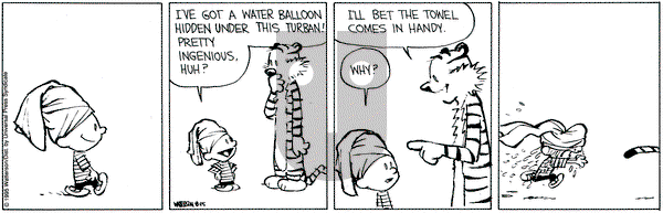 Calvin and Hobbes on Tuesday August 15, 1995 Comic Strip