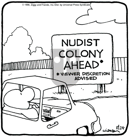 Ziggy - Saturday August 24, 1996 Comic Strip