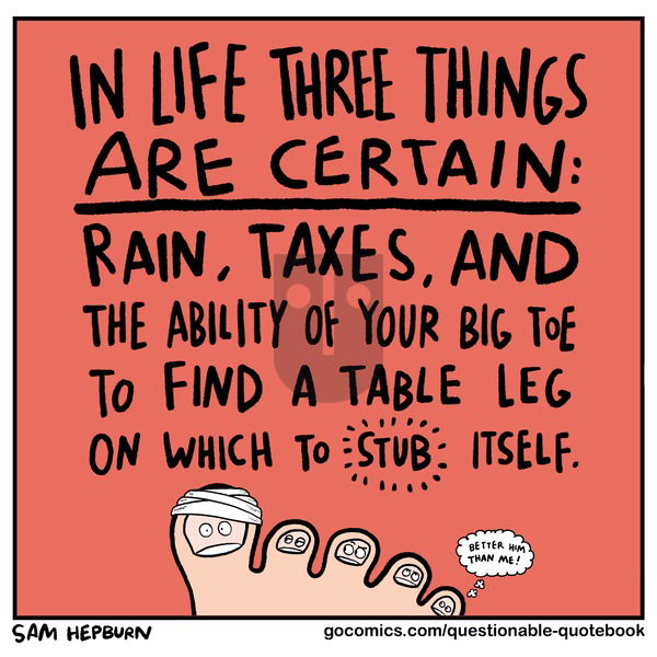 Questionable Quotebook on Sunday November 24, 2024 Comic Strip