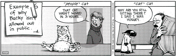 Get Fuzzy on Friday November 2, 2001 Comic Strip