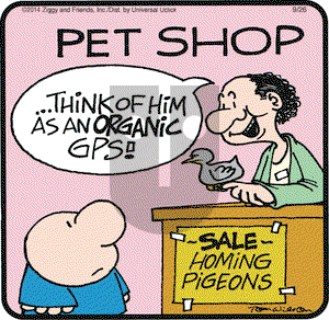 Ziggy on Friday September 26, 2014 Comic Strip