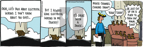 Overboard on Friday February 6, 2009 Comic Strip