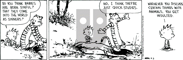 Calvin and Hobbes - Saturday April 3, 1993 Comic Strip
