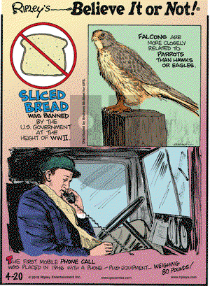 Ripley's Believe It or Not on Tuesday April 20, 2021 Comic Strip