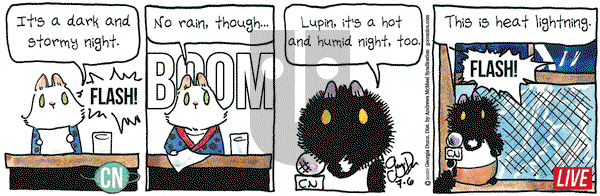 Breaking Cat News on Monday July 6, 2020 Comic Strip