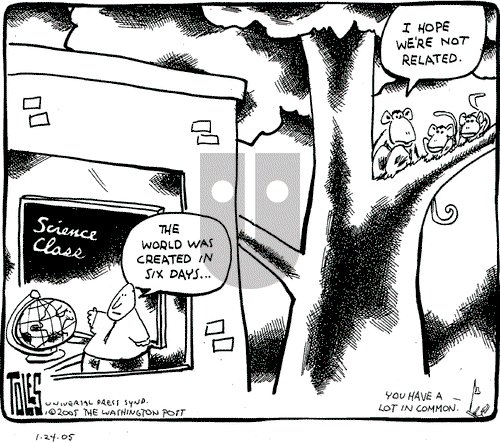 Tom Toles on Monday January 24, 2005 Comic Strip