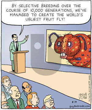 Brevity on Thursday August 19, 2010 Comic Strip