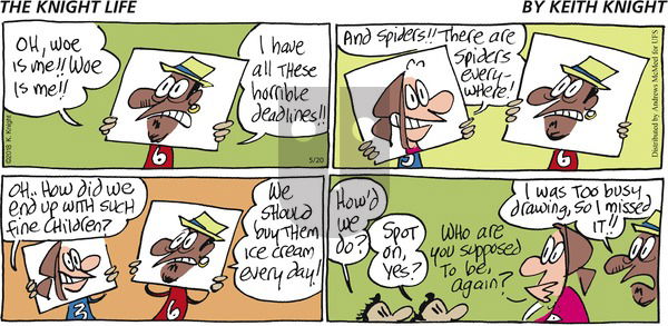 The Knight Life on Sunday May 20, 2018 Comic Strip