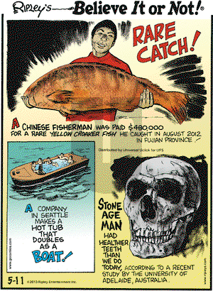 Ripley's Believe It or Not on Saturday May 11, 2013 Comic Strip