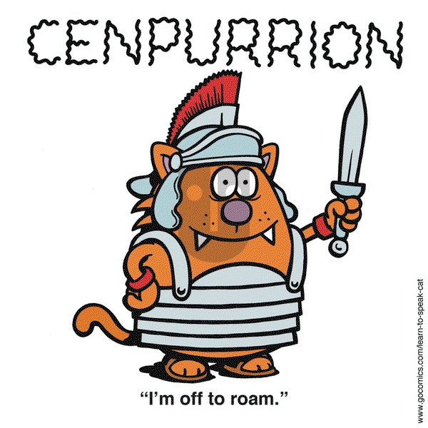 Learn to Speak Cat on Tuesday June 3, 2025 Comic Strip