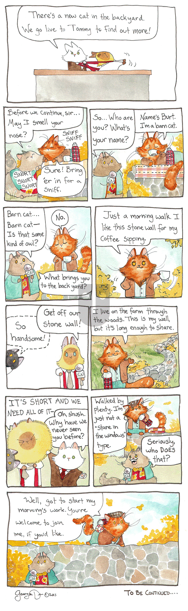 Breaking Cat News on Friday January 13, 2017 Comic Strip