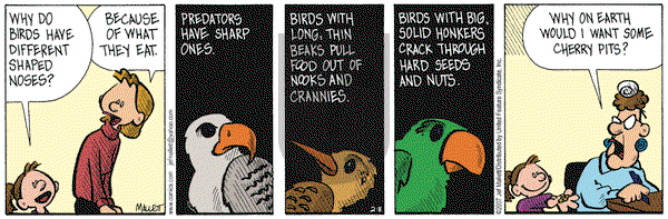 Frazz on Thursday February 8, 2007 Comic Strip