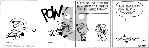 Calvin and Hobbes on Wednesday December 27, 1995 Comic Strip