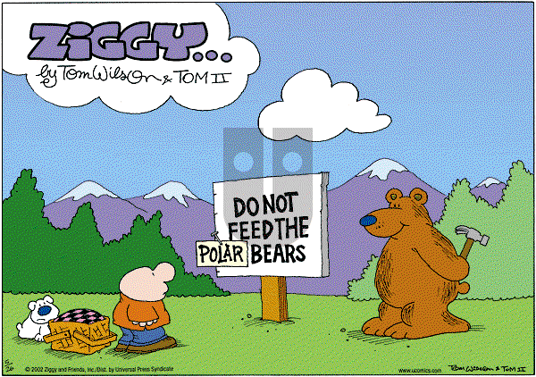 Ziggy - Sunday May 26, 2002 Comic Strip