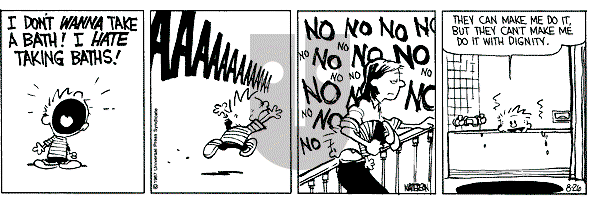 Calvin and Hobbes - Wednesday August 26, 1987 Comic Strip