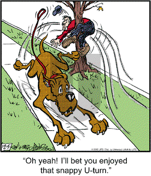 Marmaduke on Wednesday December 5, 2012 Comic Strip