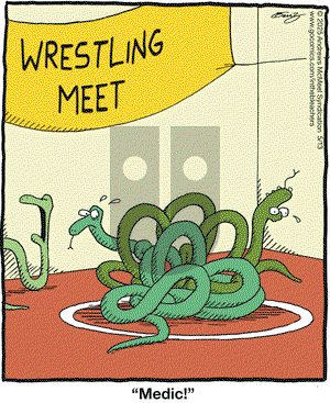 In the Bleachers on Tuesday May 13, 2025 Comic Strip