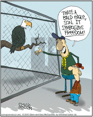 The Flying McCoys on Thursday January 8, 2015 Comic Strip