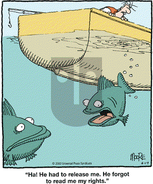 In the Bleachers - Saturday June 17, 2000 Comic Strip