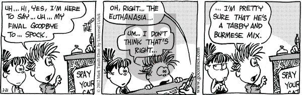 Heart of the City on Tuesday February 21, 2012 Comic Strip