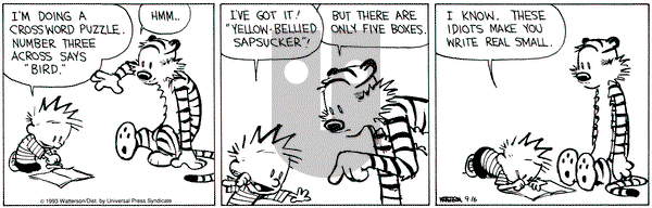 Calvin and Hobbes on Thursday September 16, 1993 Comic Strip