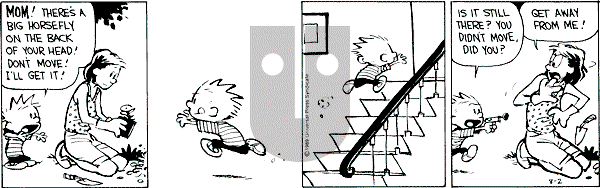 Calvin and Hobbes - Wednesday August 2, 1989 Comic Strip