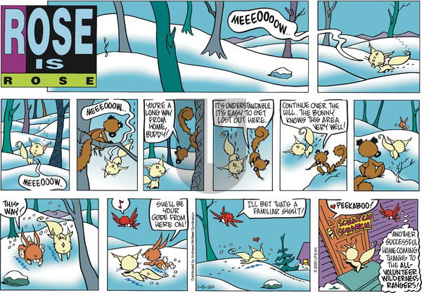 Rose is Rose on Sunday January 5, 2020 Comic Strip