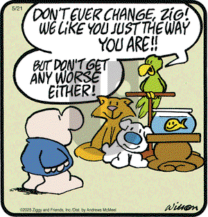Ziggy on Wednesday May 21, 2025 Comic Strip
