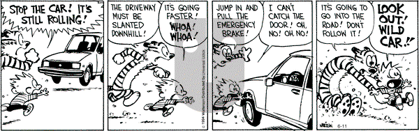Calvin and Hobbes - Wednesday June 11, 2014 Comic Strip