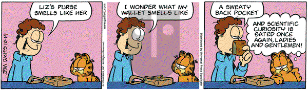 Garfield on Wednesday October 14, 2009 Comic Strip