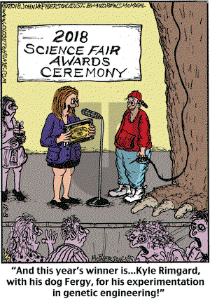 Close to Home on Saturday December 8, 2018 Comic Strip