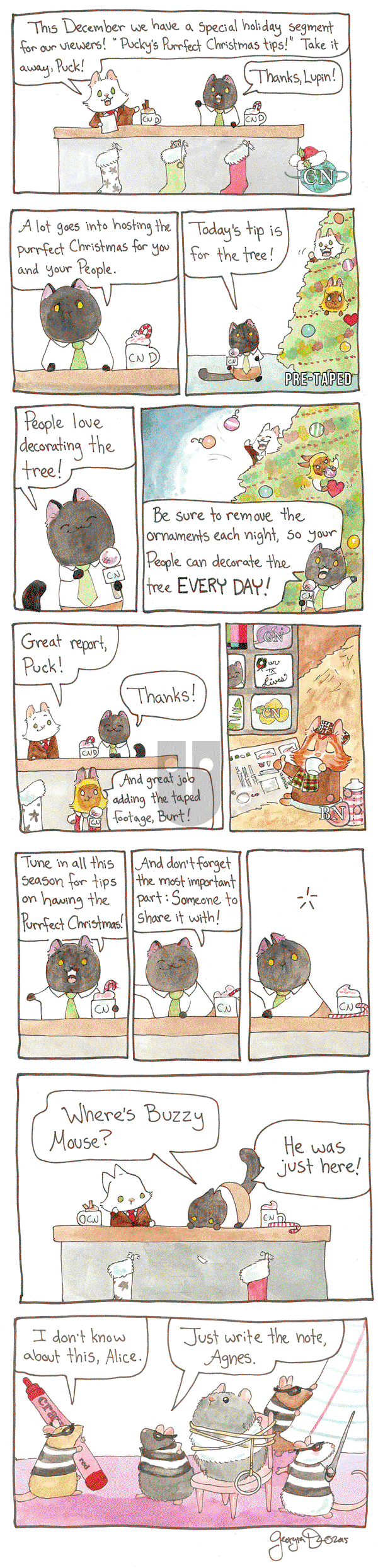 Breaking Cat News on Friday February 3, 2017 Comic Strip