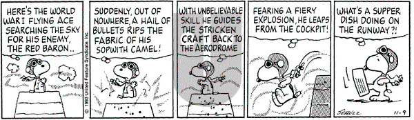 Peanuts on Tuesday November 9, 1993 Comic Strip