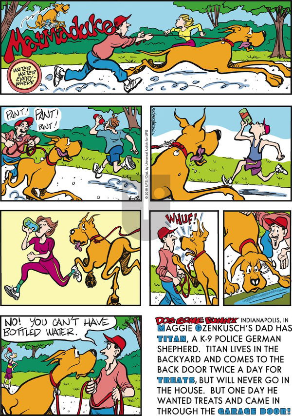 Marmaduke on Sunday June 12, 2016 Comic Strip