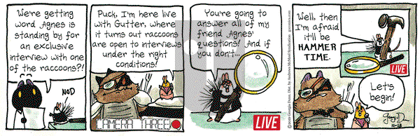 Breaking Cat News on Wednesday November 13, 2019 Comic Strip