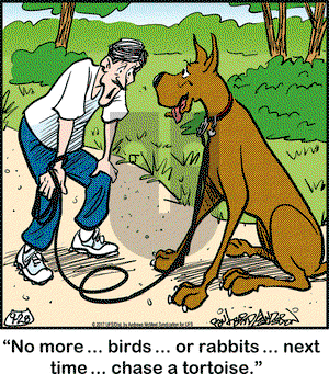 Marmaduke on Thursday September 28, 2017 Comic Strip