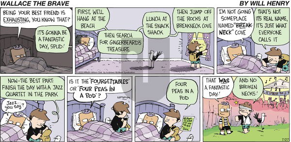 Wallace the Brave on Sunday July 27, 2025 Comic Strip