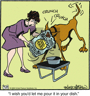 Marmaduke - Friday July 24, 2009 Comic Strip