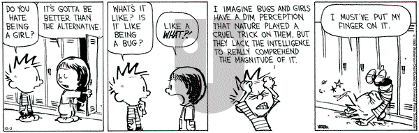 Calvin and Hobbes on Wednesday December 2, 1992 Comic Strip