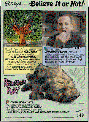 Ripley's Believe It or Not on Thursday March 19, 2020 Comic Strip