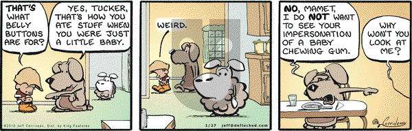 DeFlocked on Wednesday January 27, 2010 Comic Strip