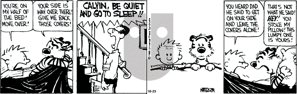 Calvin and Hobbes - Wednesday October 23, 1991 Comic Strip