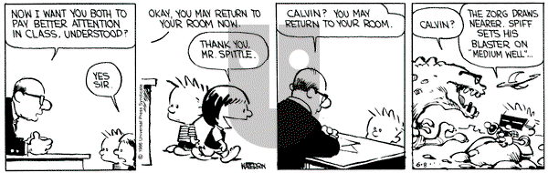Calvin and Hobbes on Saturday June 8, 1991 Comic Strip