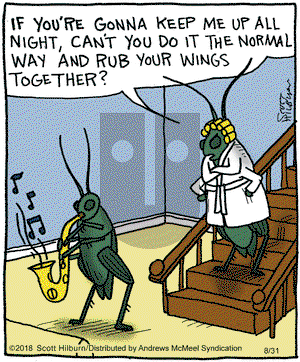 The Argyle Sweater on Friday August 31, 2018 Comic Strip