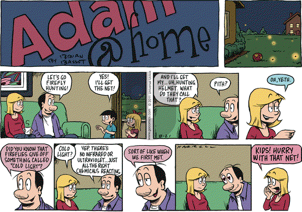 Adam@Home on Sunday August 21, 2011 Comic Strip