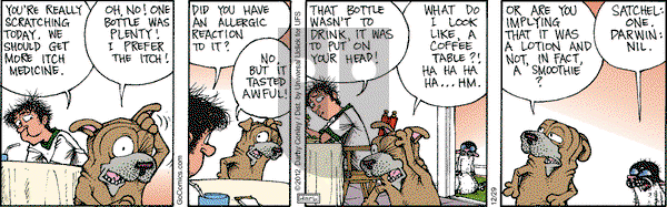 Get Fuzzy on Saturday December 29, 2012 Comic Strip