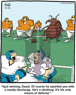 In the Bleachers on Thursday December 24, 2009 Comic Strip