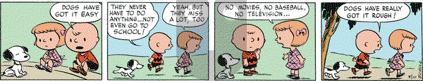 Peanuts Begins - Thursday August 1, 2024 Comic Strip